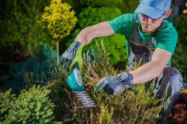 landscaping services Cabool